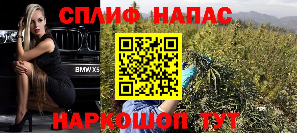 Бошки Шишки семена  Конопля планчик  Бошки Шишки Bruce Banner  Вход с VPN  Ессентуки 
